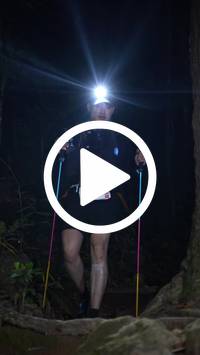 BIB:  <button type="button" onclick="openModal(27569830)" class="btn btn-primary btn-sm float-right" data-toggle="modal" data-target=".modal-high-quality">
                <i class="fa fa-download"></i> Download
                </button>